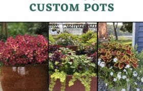 custom pots